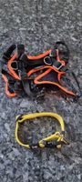 Grossenbacher Hunde Geschirr+Halsband Set, Top Zustand!