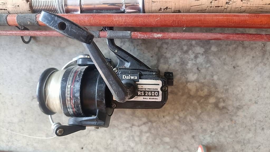 Daiwa Canne da pesca: Lot de cannes et moulinets de pêche – Usato da Pampigny venduto da Calypso06 4