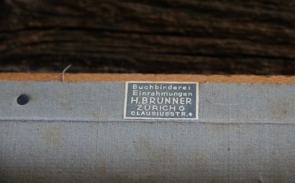 Foto & Immagini: Schulwandbild "Muskulatur" – Usato da Birrwil venduto da brandschatz_birrwil 6