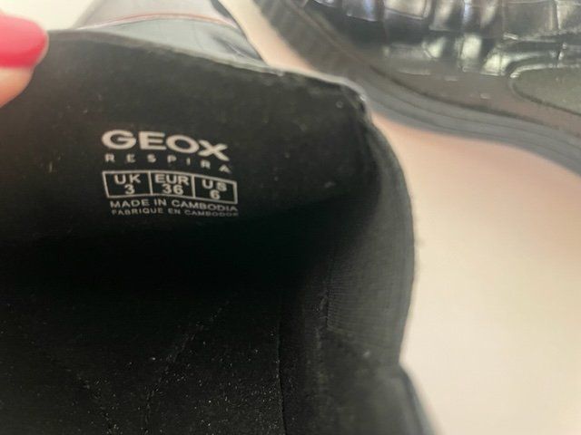 Geox Scarpe da donna: Geox Schuhe, Gr.36 – Usato da Aarburg venduto da flacon05 4