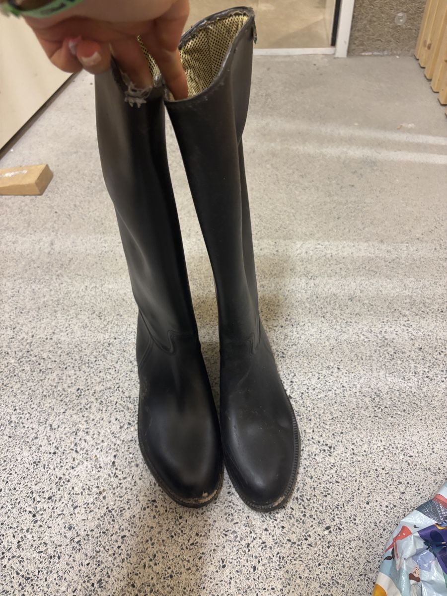Scarpe per ragazze: Reitstiefel,Top Zustand! – Usato da Schmerikon venduto da leh_bjr6 2
