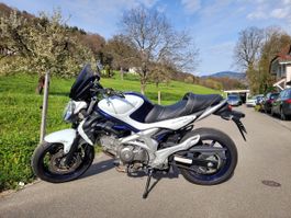 LETZTE REAKTIVIERUNG: Suzuki Gladius SFV650A , ab MFK!
