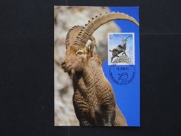 2006 Nr. 1196 auf Maximumkarte mit ET Stempel