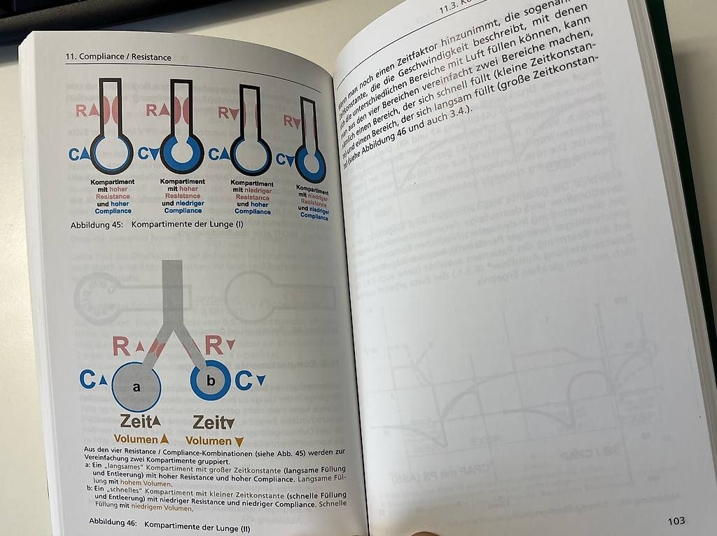 Libri: 1 x 1 der Beatmung – Usato da Tägertschi venduto da Oktagon62 3