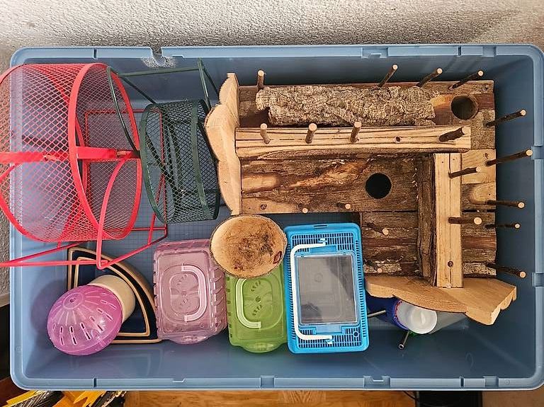 Ferplast Gabbie, trasporto & Sicurezza: Ensemble complet pour hamster / souris – Ferplast Duna Multy – Usato da Lausanne venduto da ale_6c5g 4