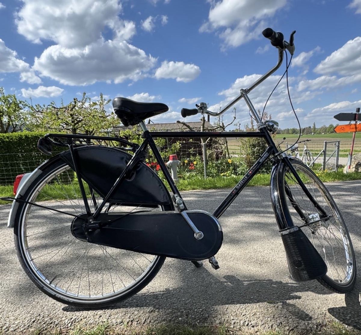 Gazelle Biciclette: Gazelle Herren Hollandvelo – Usato da Fällanden venduto da Caramel7 2