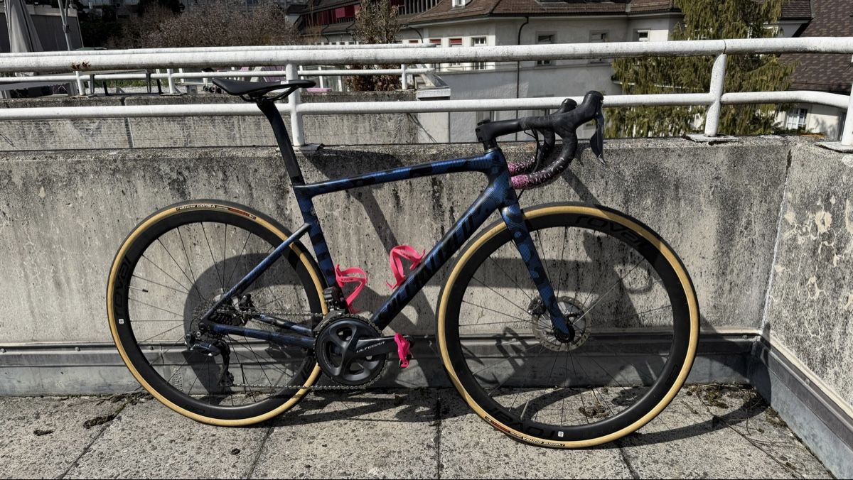 Specialized Biciclette: Specialized SL6 taille 54 – Usato da Fribourg venduto da Nathalie_Brugger