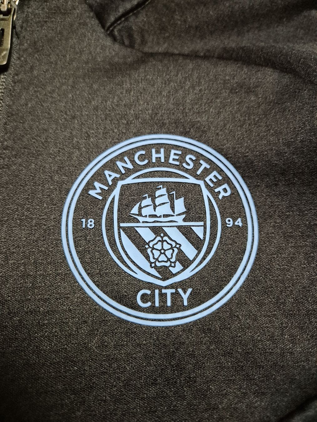 Puma Leibchen & Hosen: Puma 22/23 Manchester City Training Top Gr. M – Neu (gemäss Beschreibung) aus St. Gallen von CaliSunshine 2
