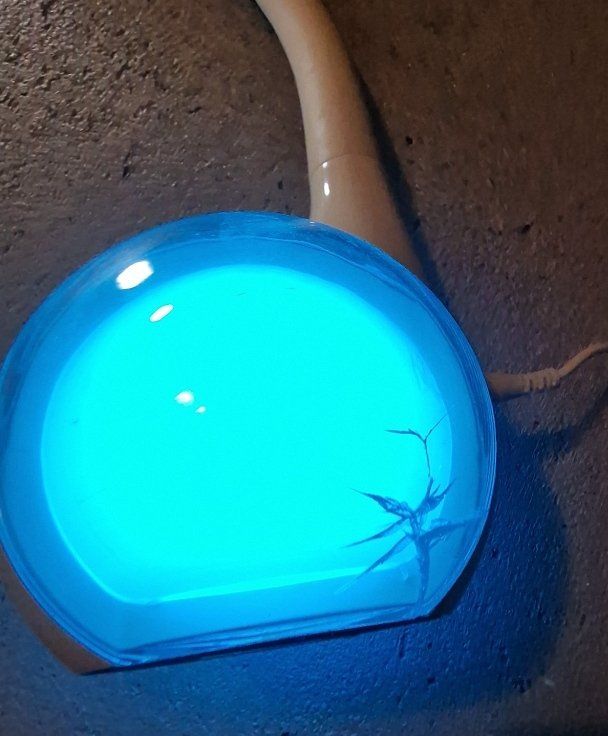 Lampade: LED Lampe – Usato da Chur venduto da kai.chur 5