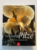 Faszination Pilze von Labhardt / Lohmeyer