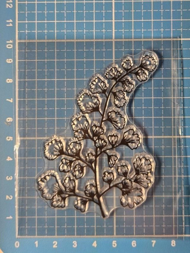 Timbri: Silikonstempel Nr.654, Zweig, Ginkgo – Nuovo e nell'imballaggio originale da Gretzenbach venduto da Fliegepilz56 1