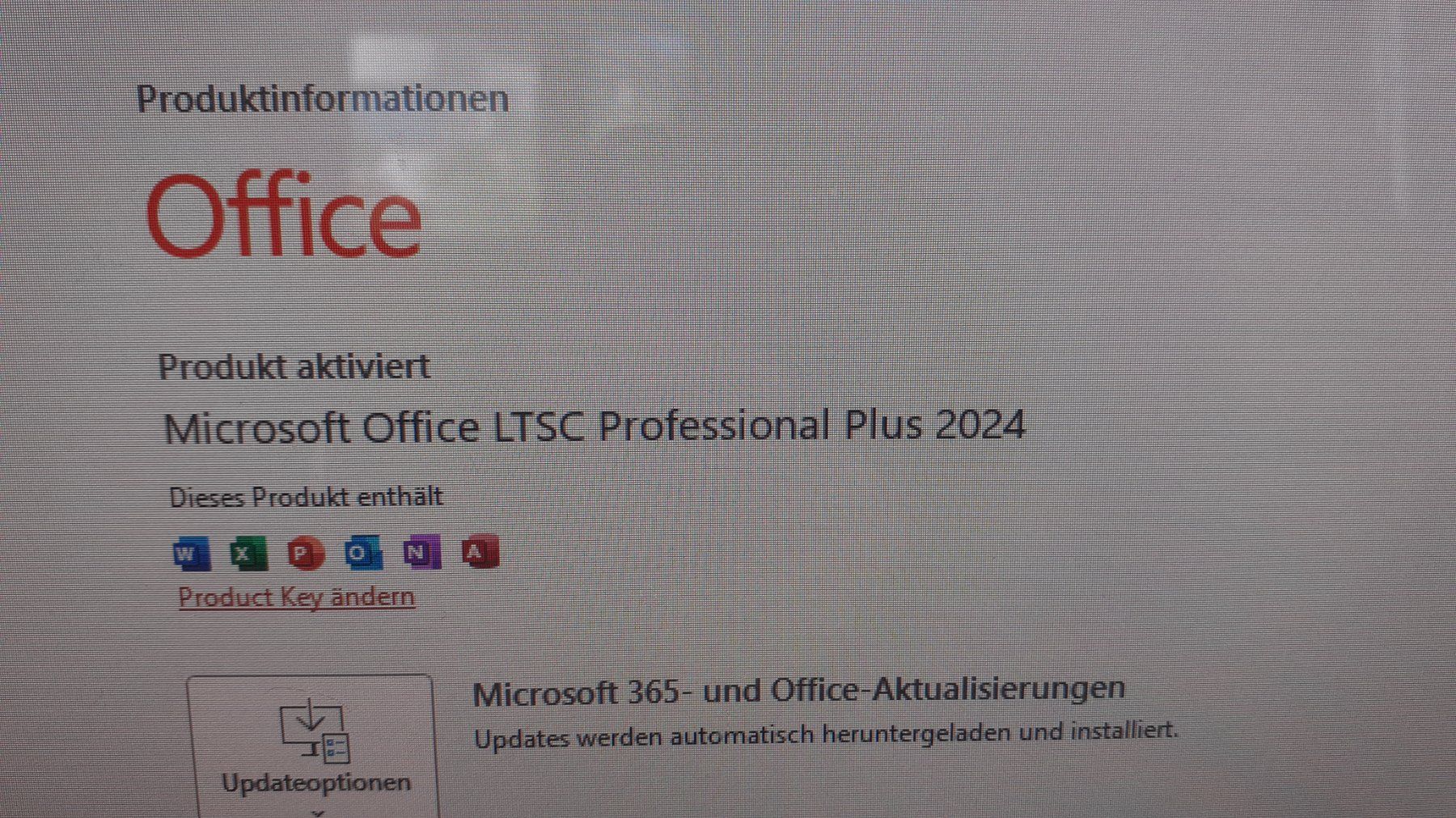 Hewlett Packard PC: HP EliteDesk mini   i7 / 32GB / 6TB / Win.11 – Usato da Chur venduto da Blackbook 8