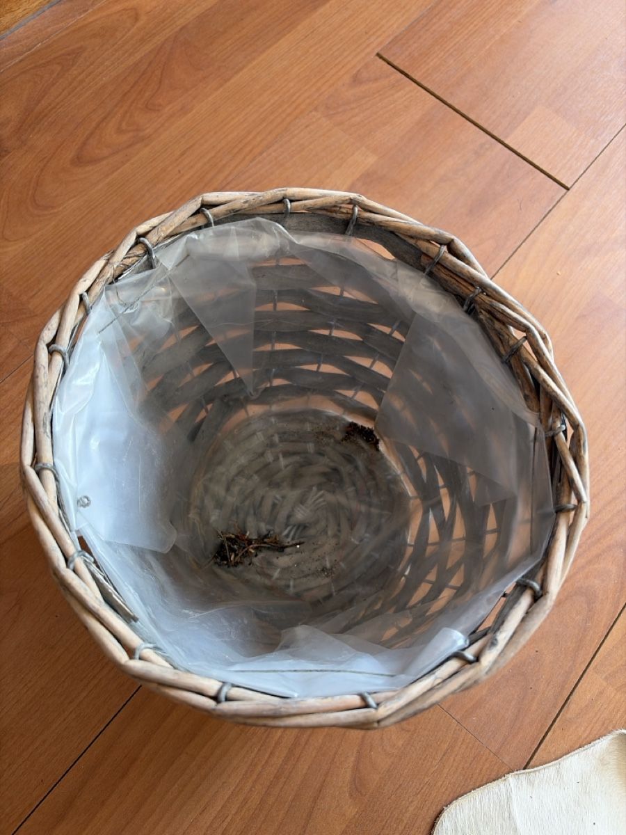 Altro per la casa: Korb mit Plastikfolie Dekokorb Weide – Usato da Opfershofen TG venduto da dan_nxk8 1