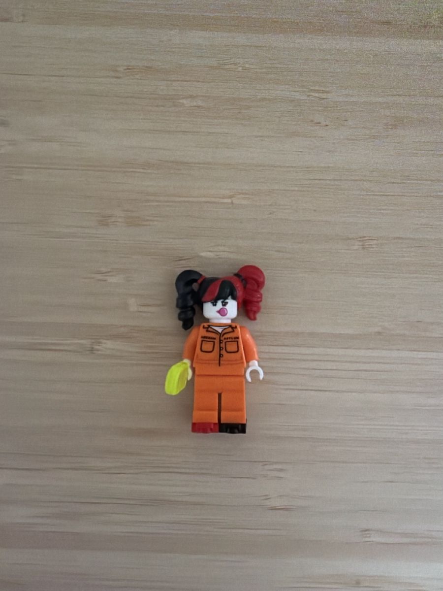 Lego Jeux de construction: Lego Batman: Prisoner Harley Quinn – Neuf (Voir description) à St. Gallen par LennysBricks