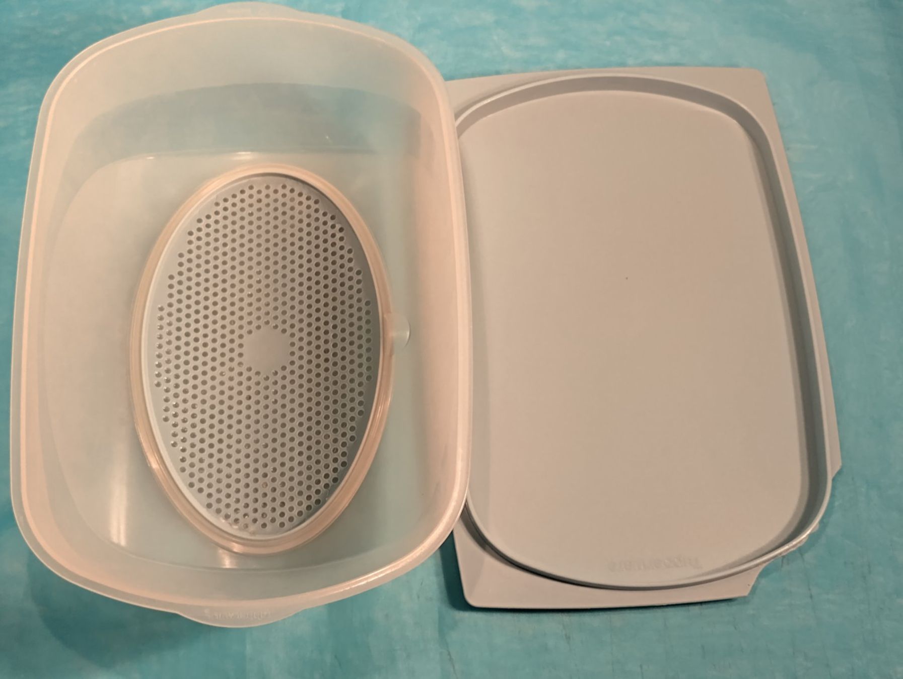 Tupperware Contenitori & Simili: Tupperware Behälter für Käse, gross, hellblau, mit Rost – Usato da Bellach venduto da JingleCherry 5