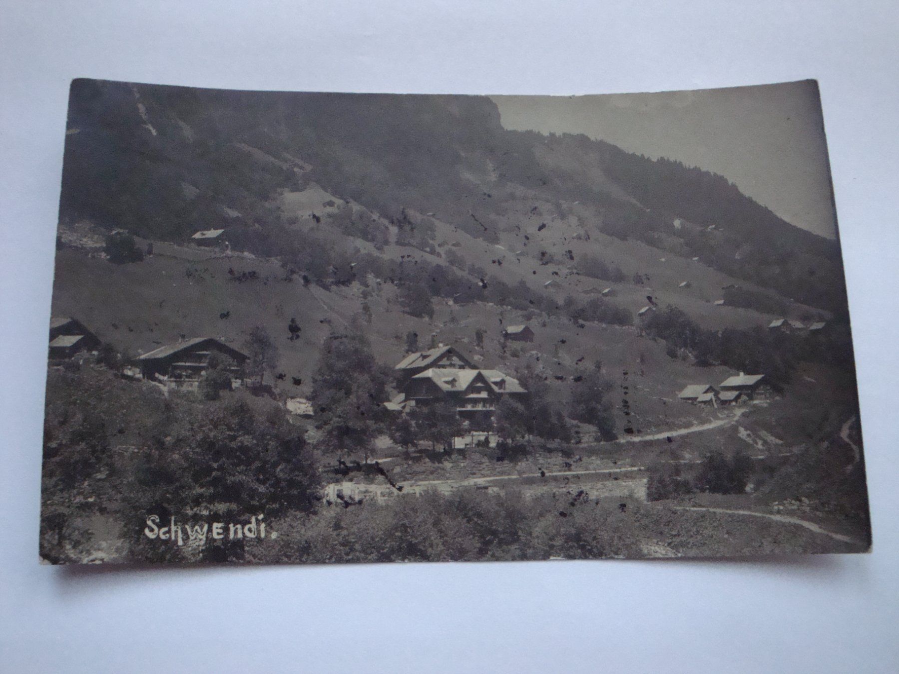 Cartoline postali: schweni st gallen weisetannen – Usato da scharnachtal venduto da Riso500