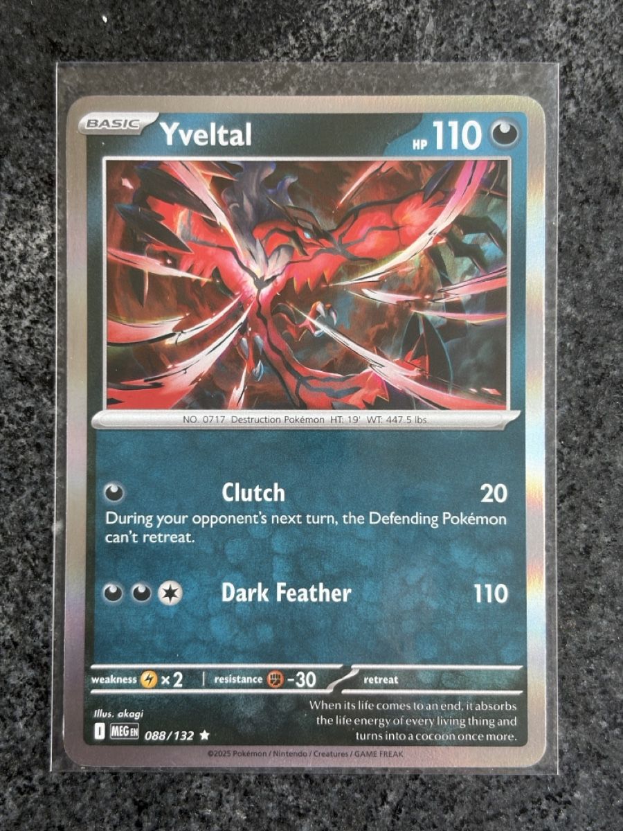 Pokémon Carte collezionabili: Pokemon Yveltal Karte 088/132 Mega Evolution Holo – Nuovo (secondo la descrizione) da Galgenen venduto da Miachelle