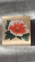 Boîte à bijoux en bois neuve/Schmuckschatulle aus Holz neu