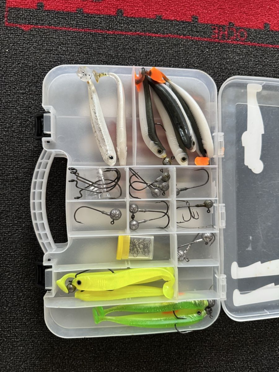 Esche: Lieblingsköder 12.5cm mit Box – Usato da Uster venduto da Argetni