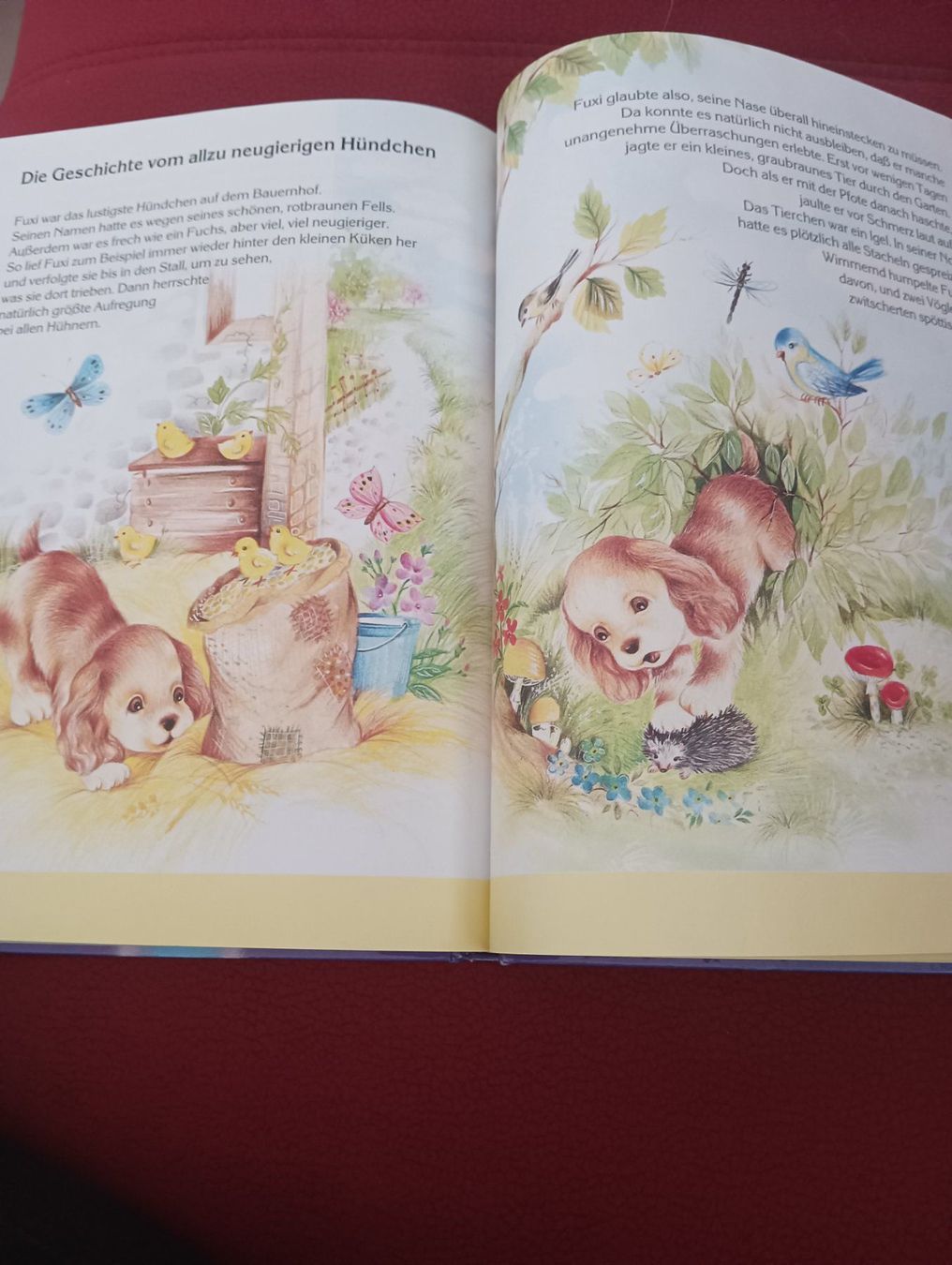 Libri: Mein lustiges Tierbuch / Kinderbuch – Usato da Schöfflisdorf venduto da kin_2dp9 3