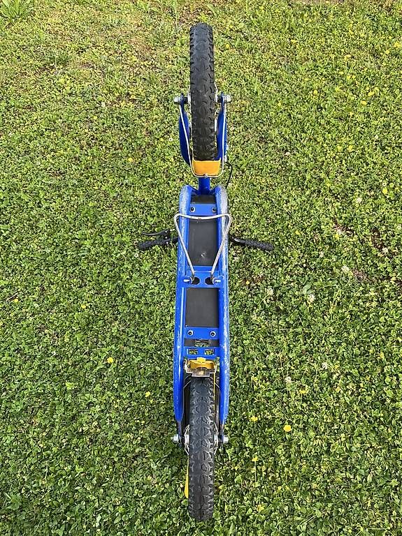 Kickboard: Trotti-nette/ Roller/Scooter – Gebraucht aus Zürich von kangi25 4