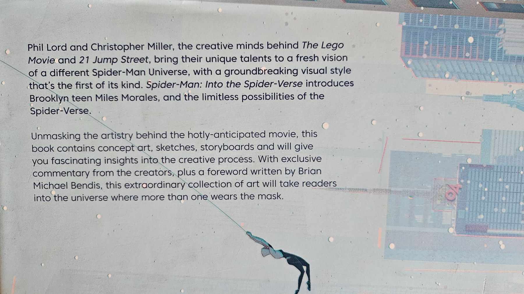 Libri: Spider-Man Into The Spider-Verse Art Book – Usato da Basel venduto da True_Hofer_Store 1