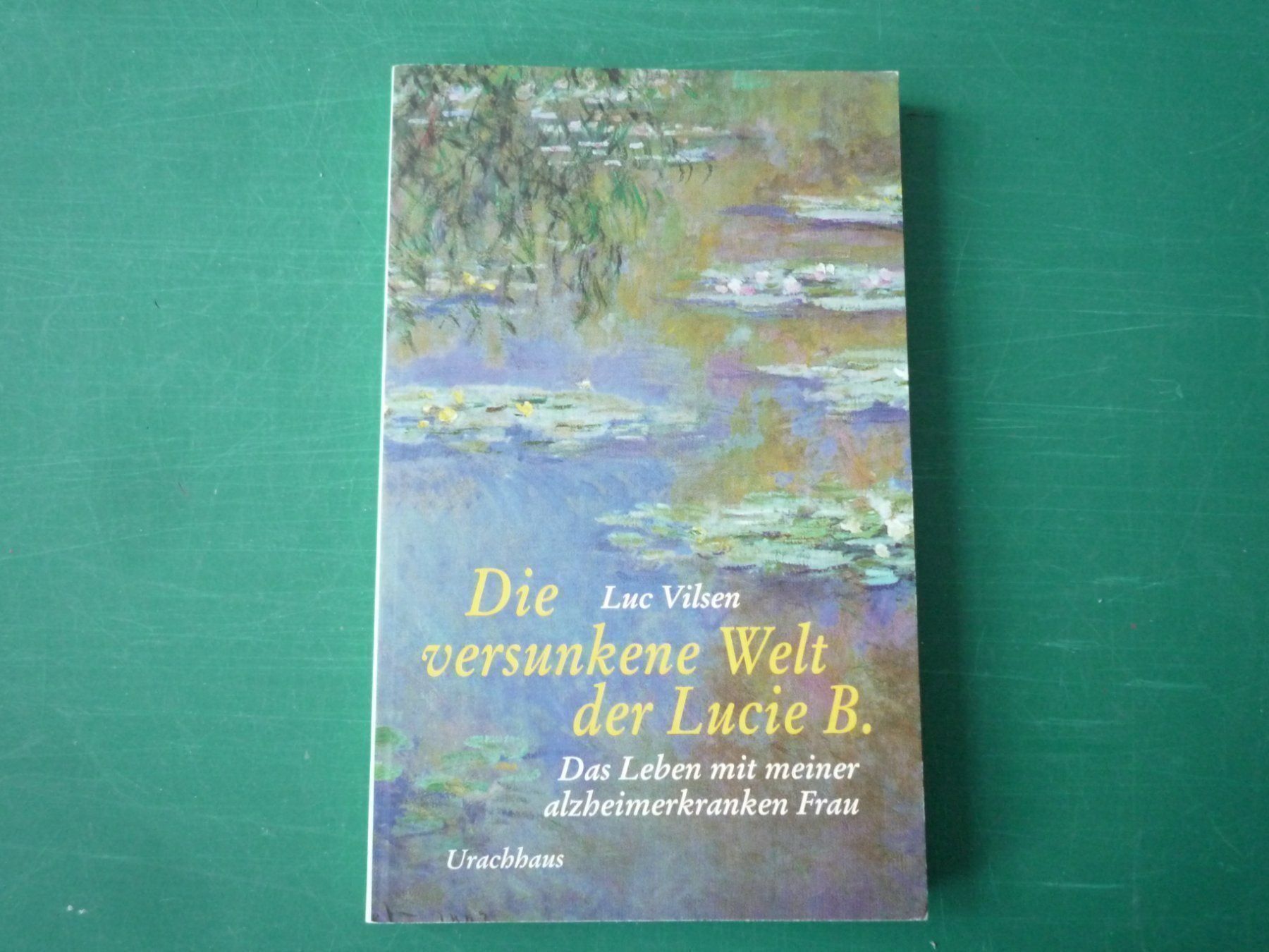 Libri: Die versunkene Welt der Lucie B. – Nuovo (secondo la descrizione) da Rafz venduto da Sonnenblume305