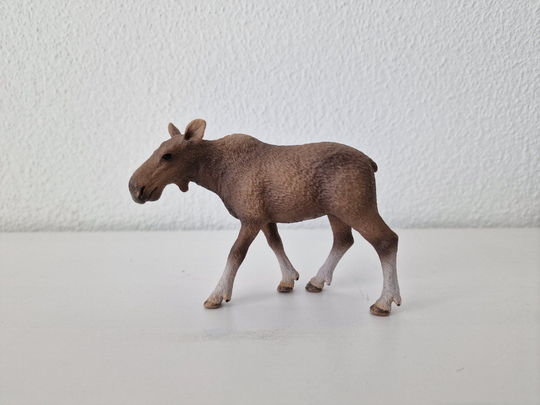 Schleich Statuette: Schleich 14620 Elch Kuh – Usato da Root venduto da Little.Fox