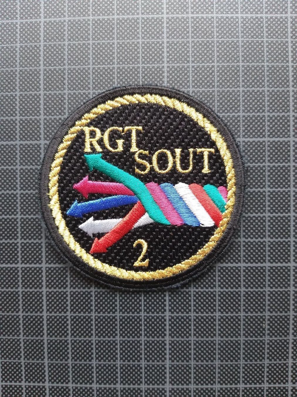 Plaquettes & Badges: Verbandsabzeichen RGT SOUT 2 – D'occasion à Bauma par SwissMilitaria