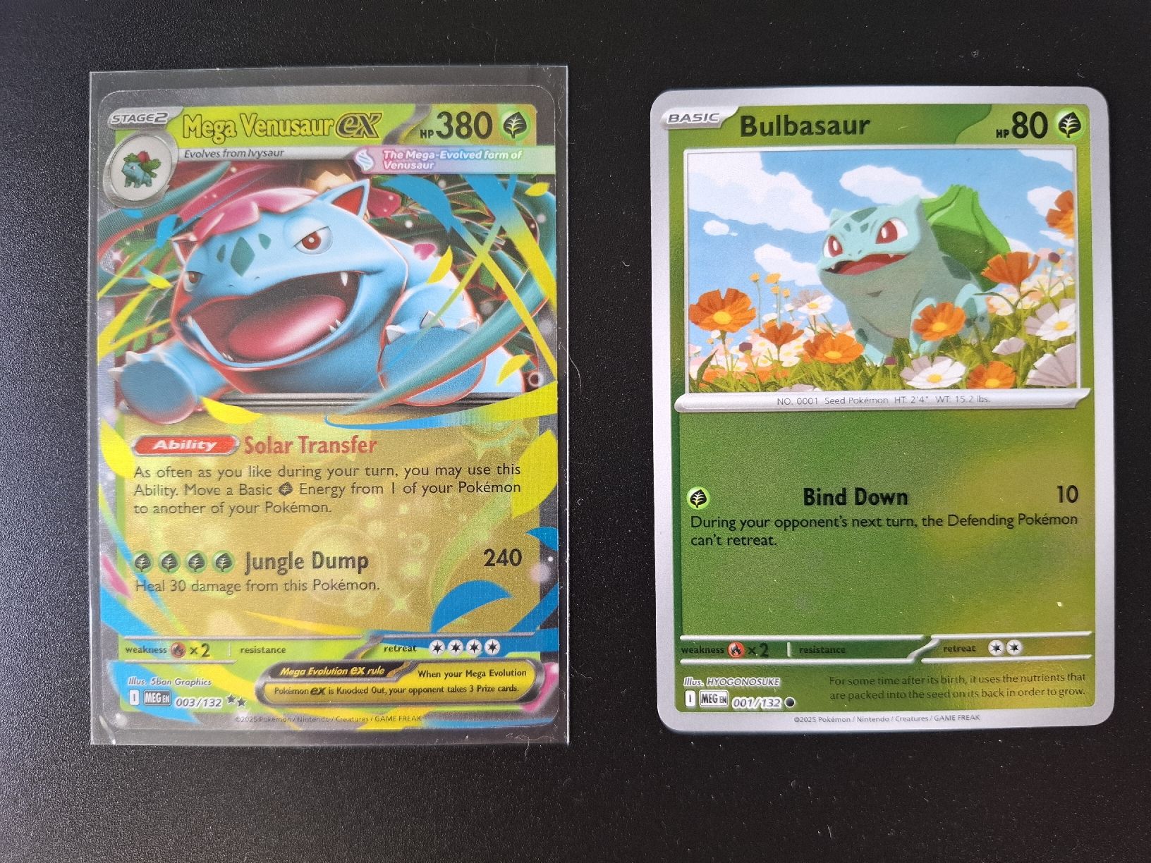 Pokémon Carte collezionabili: Pokémon Mega Venusaur ex & Bulbasaur – ME01 – Usato da Wetzikon ZH venduto da itriale