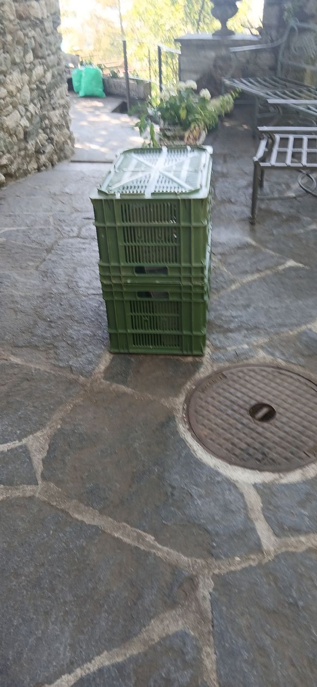 Casse di trasporto: Gemüsekiste G1 60x40xh32 cm - Schwerlast Eurobehälter – Usato da Pianezzo venduto da Millecolline 1