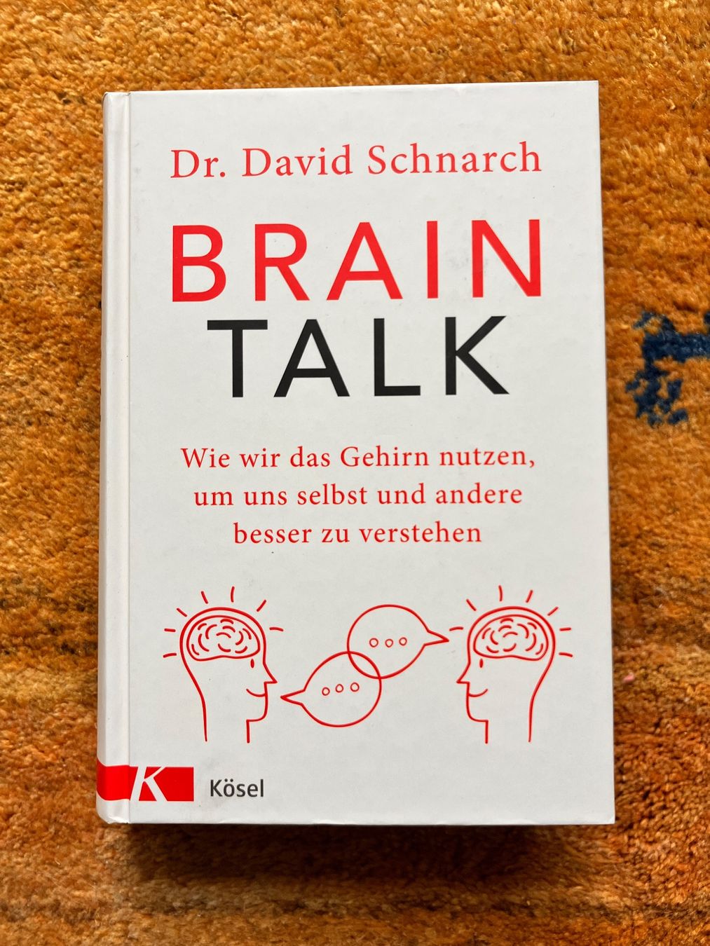 Libri: Brain Talk Dr. David Schnarch – Usato da Zürich venduto da amarelapreto