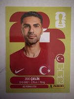 Panini TUR 4