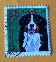 Nr.1227 Berner Sennenhund GESTEMPELT Sondermarken 2007   