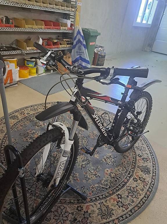 Biciclette: Specialized Fahrrad – Usato da Tentlingen venduto da Sunshine1734 1