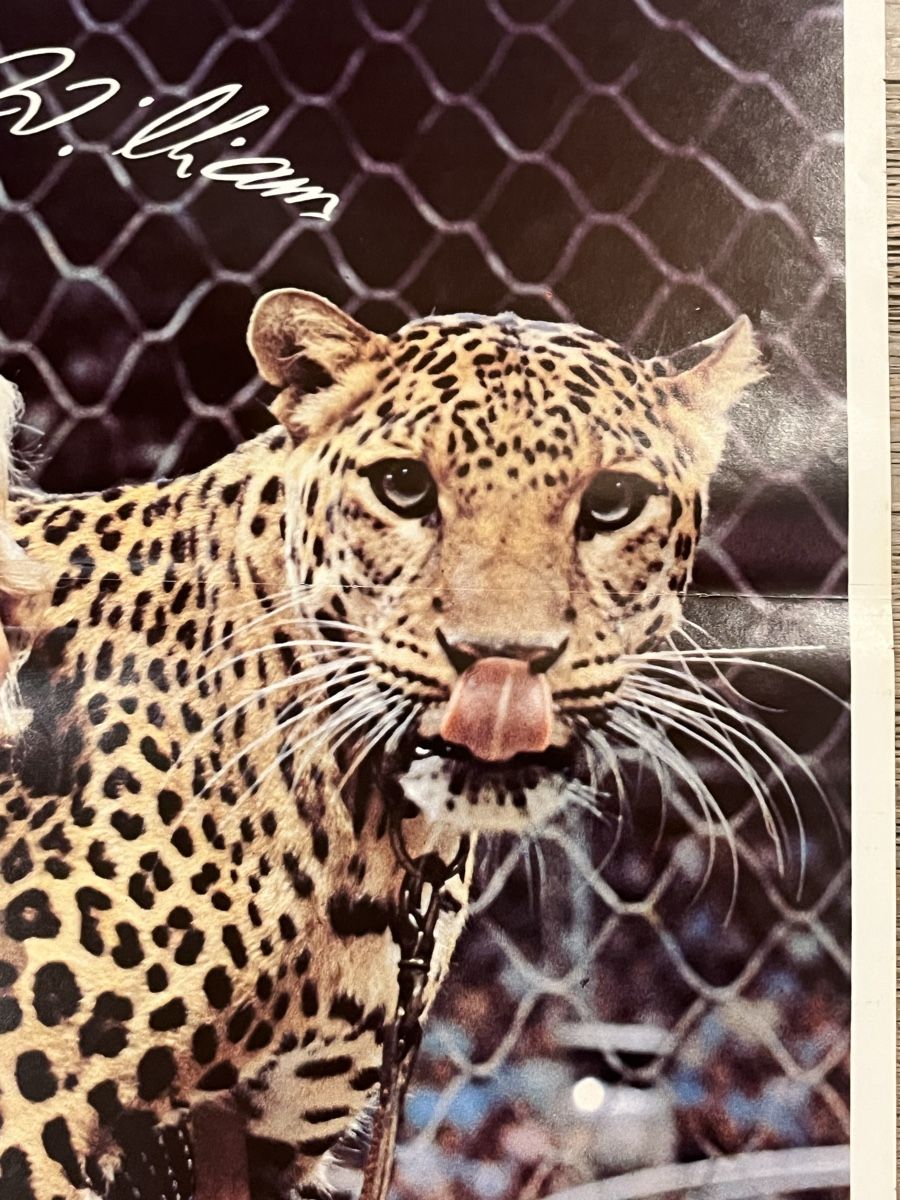 Libri: Ringling Bros Circus Programm 1979 mit Poster gebraucht – Usato da Menziken venduto da TopDevShop 9
