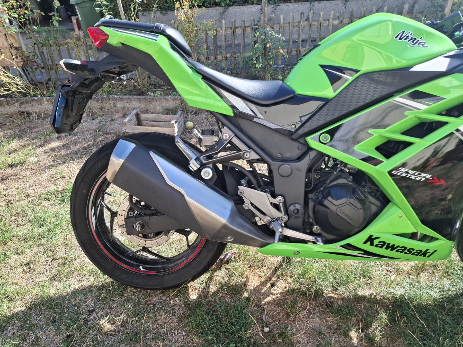 Kawasaki Strasse: KAWASAKI Ninja 300 ABS – Gebraucht aus Pratteln von sal_5hj2 3