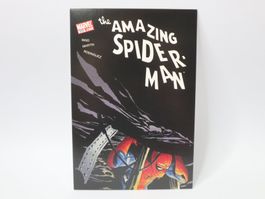 AK Spider-Man Comic Cover Spiderman Postkarte, marvel