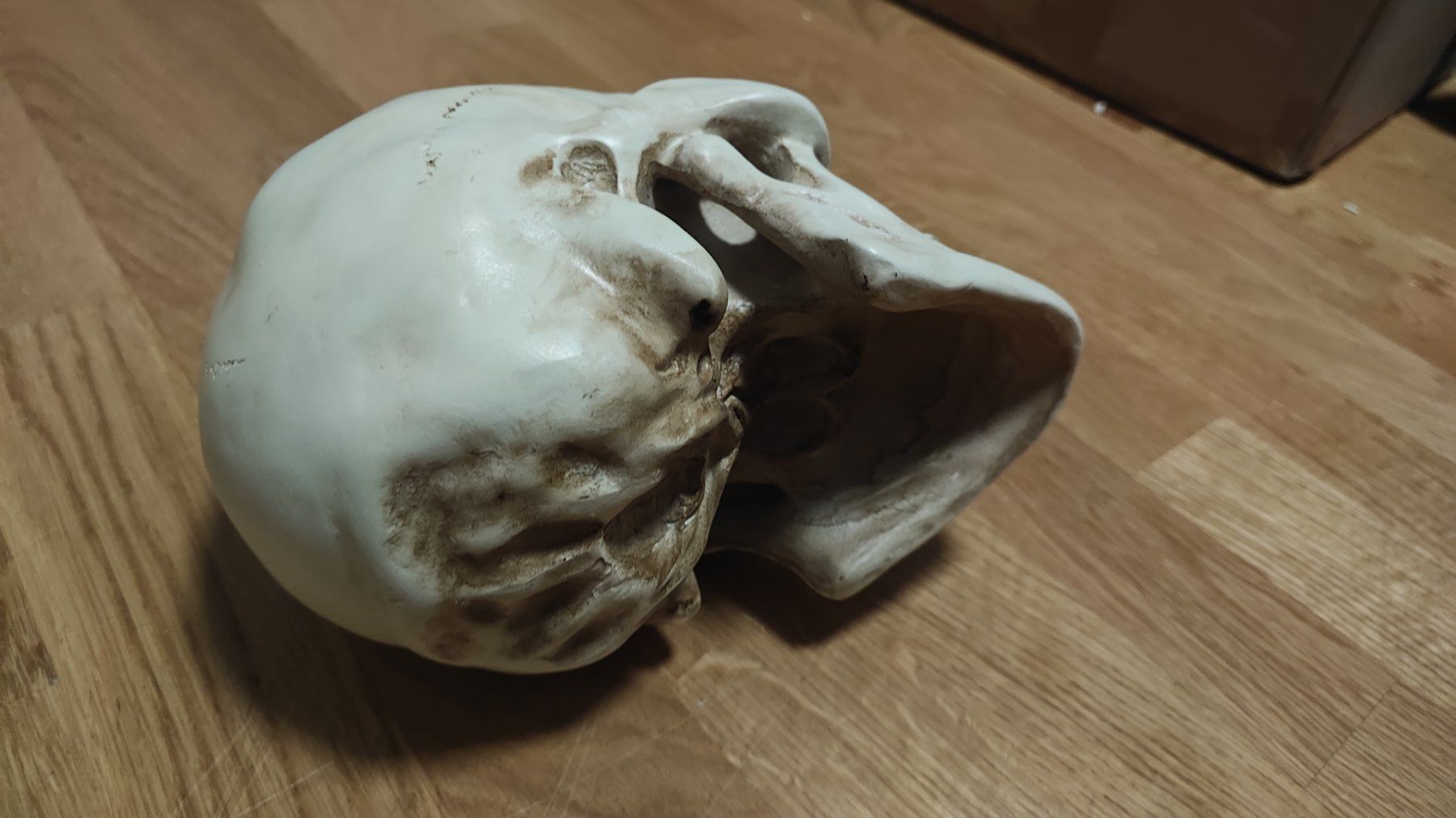 Tutte le decorazioni: Schädel Deko – Usato da Gümligen venduto da JohnnyOnyx 4