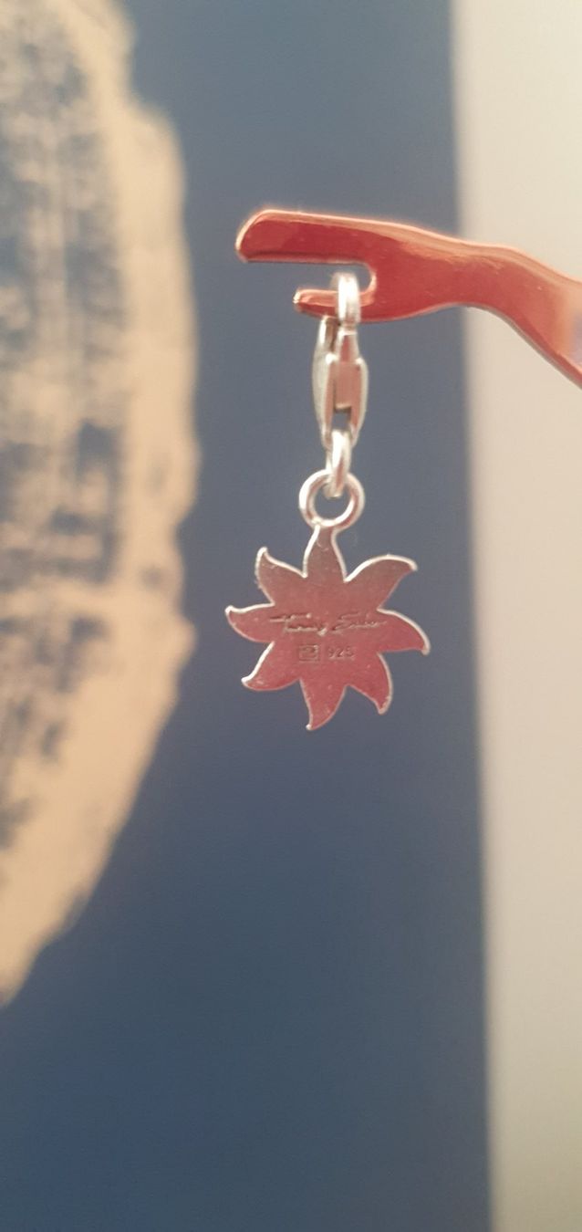 Thomas Sabo Ciondoli: Charms Thomas Sabo – Usato da Echallens venduto da Sabi_c_dzh 5