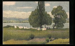 Ernst E. Schlatter: Gottlieben, Blick zu