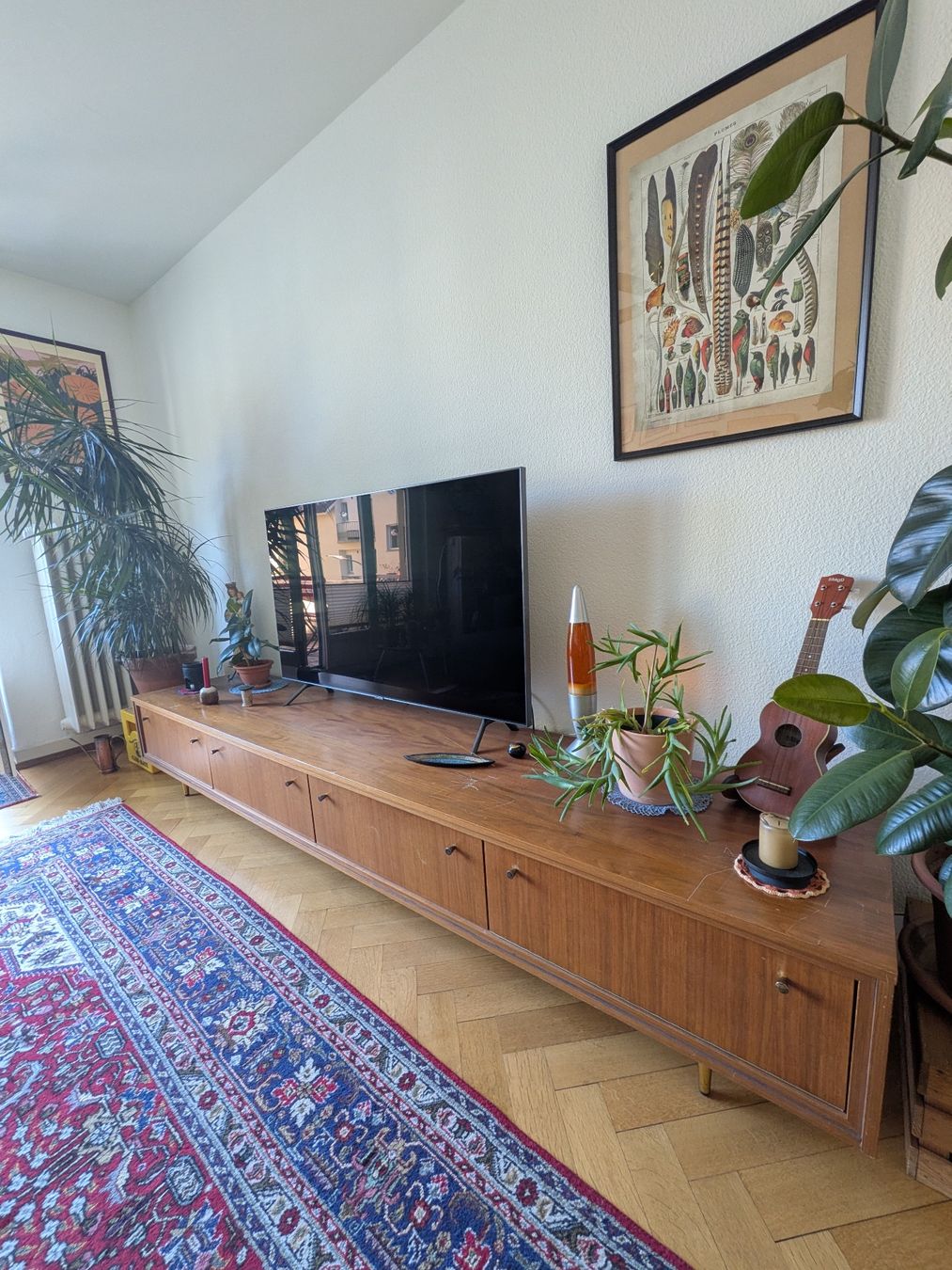 Commodes: Midcentury Longboard – D'occasion à Bern par Discomirco 1