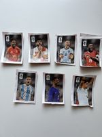 Panini WM 26