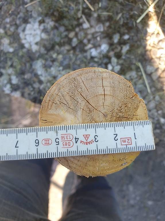 Articoli in legno: Baumpfähle Holzpfähle – Usato da Niederwil AG venduto da Acantik 1