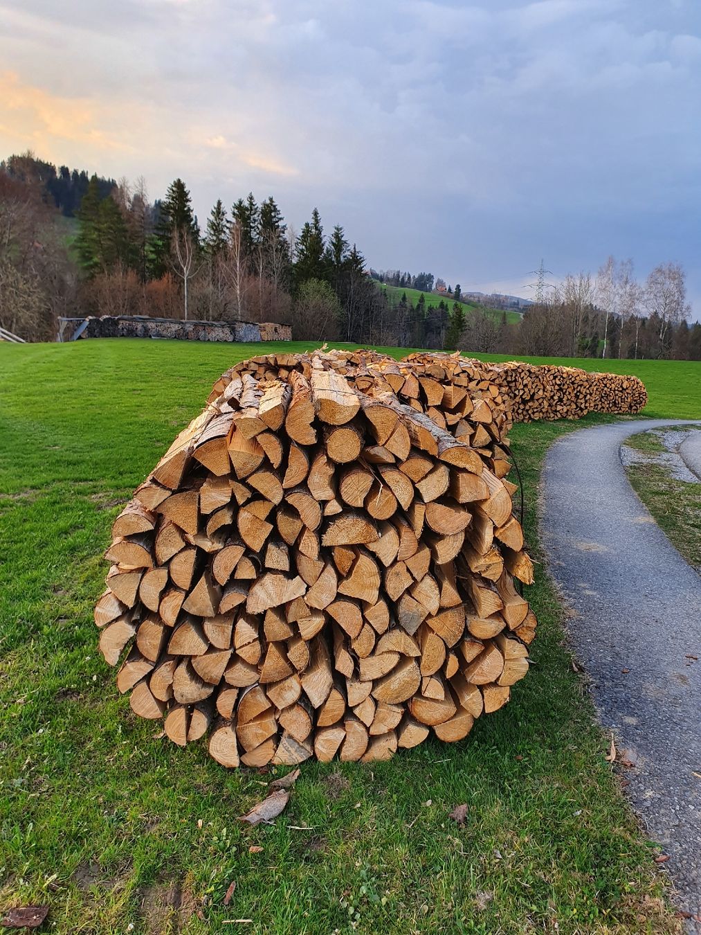 Articles en bois: Brennholz Fichte Tanne – Neuf (Voir description) à Hundwil par Vario312 2