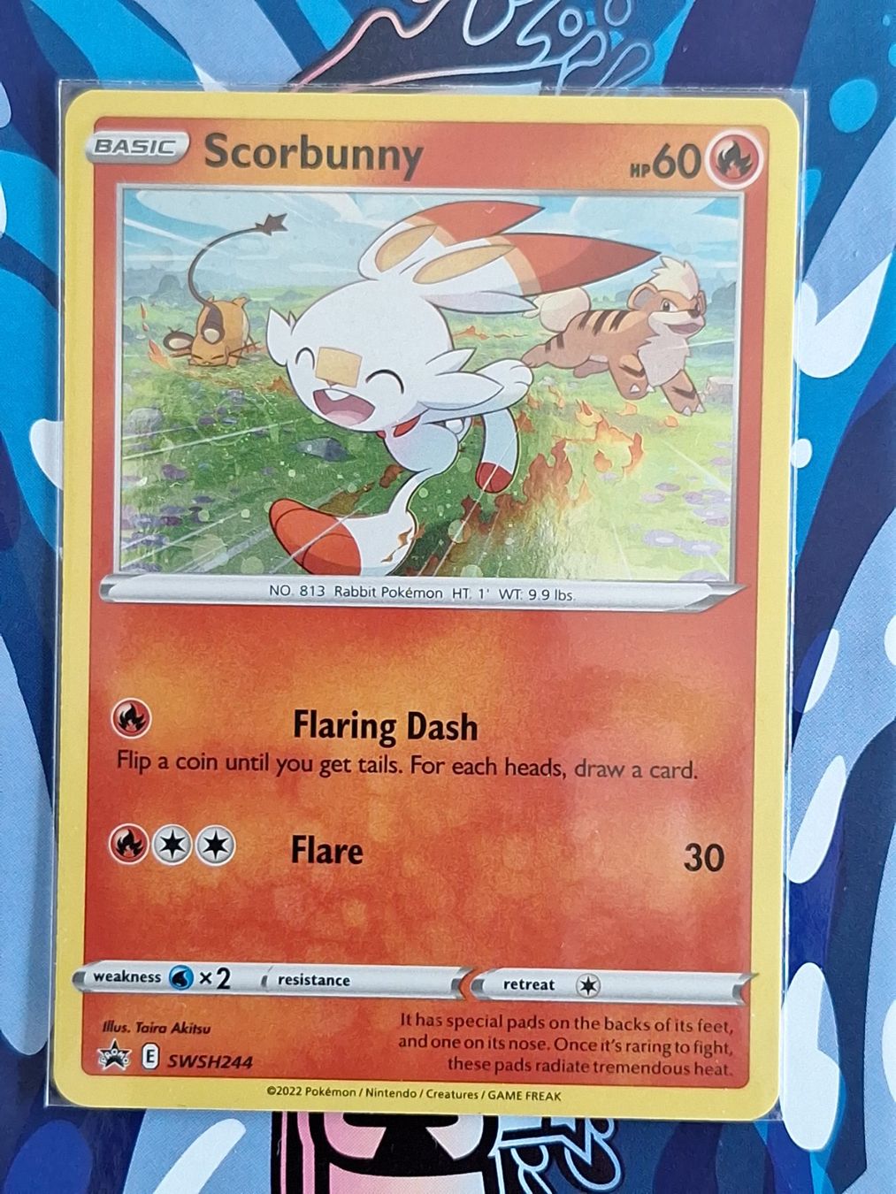 Pokémon Carte collezionabili: Scorbunny Holo Promo - #14 – Usato da Altstätten SG venduto da GGsGameshop