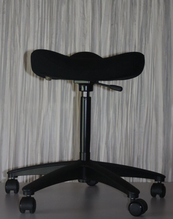 Stokke Varier Move Balans Dinamica 49 68 cm mit Lieferung? Kaufen auf Ricardo