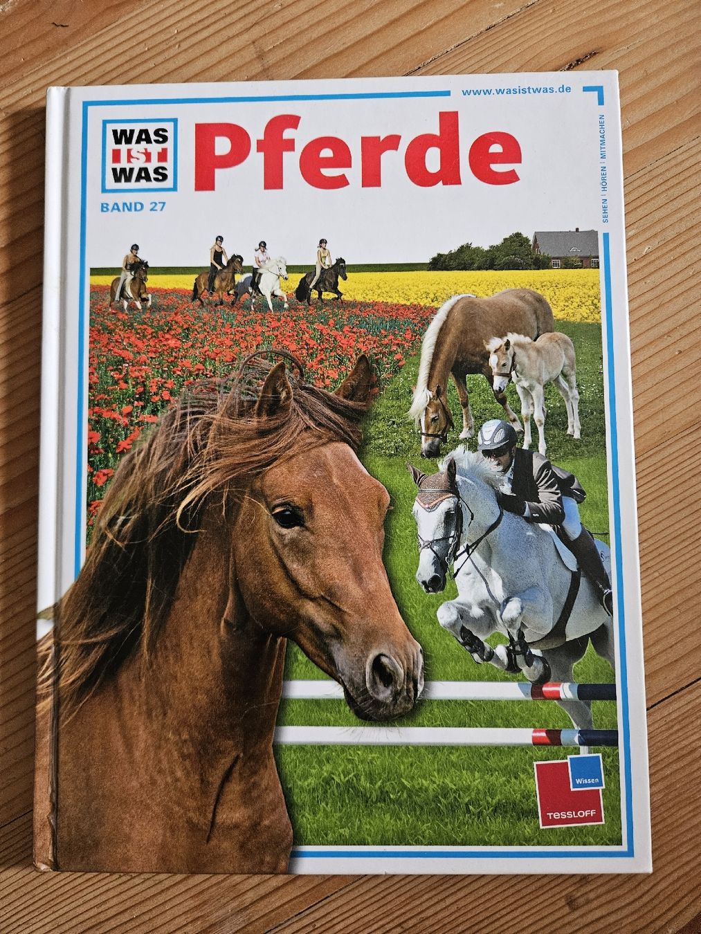 Libri: Pferde Wissensbuch – Usato da Bern venduto da Snowflake38