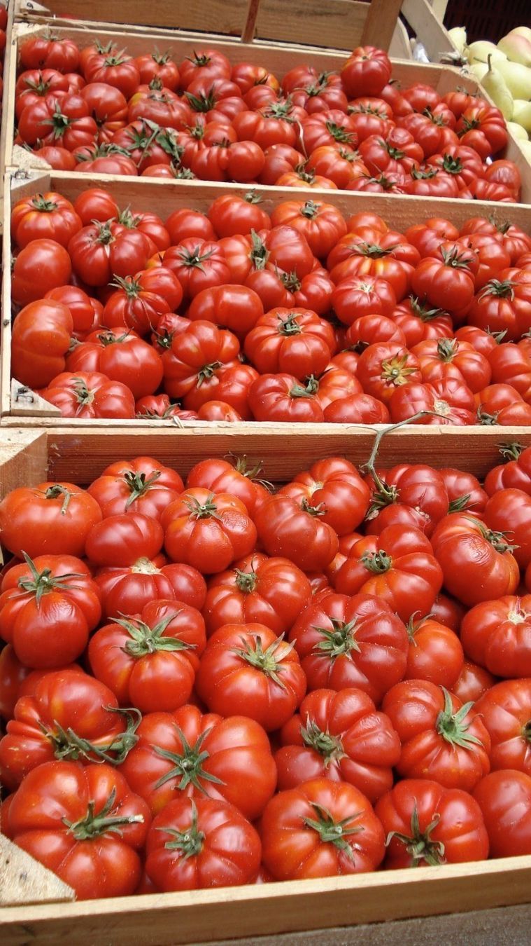 Pflanzen & Samen: 30 Samen ROSSO SICILIAN TOGETTA Tomate – Neu (gemäss Beschreibung) aus Ehrendingen von VerveinaSamen 3