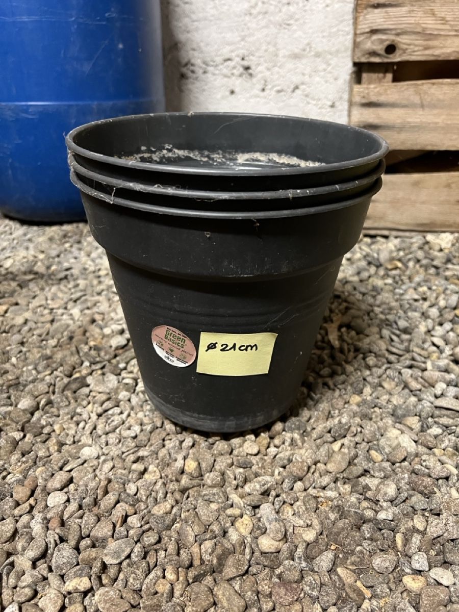 Coop Vasi per fiori: 3 Stk. Pflanztöpfe, Durchmesser 21cm – Usato da Zürich venduto da n_89